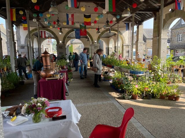 IMG 0134